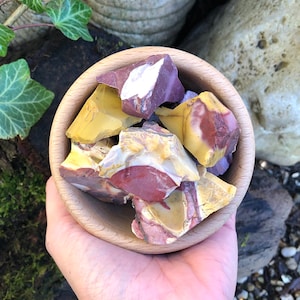 May include: A wooden bowl containing jasper stones in shades of burgundy, yellow, and white. The bowl is held in a hand, with a beaded bracelet visible below. The background includes greenery and rocks. The stones are a mix of colours.