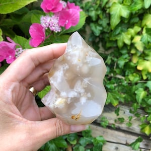 Könnte beinhalten: Ein durchscheinender, unregelmäßig geformter Kristall mit einer Spitze. Der Kristall ist hauptsächlich hellbeige mit weißen und gelben Einschlüssen. Im Hintergrund sind rosa Blüten und grünes Laub zu sehen.