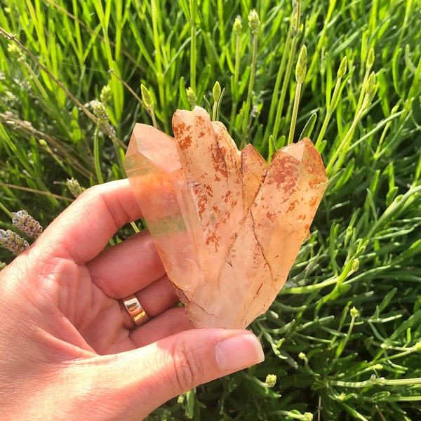 Tangerine Quartz Point Crystal Cluster Natural Stone Reiki Gemstone SOUL HEALING