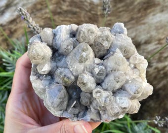 Natural! Smokey Quartz Cluster Druzy 650g Crystal Healing Gemstone Grade A Brazil DETOX LETTING GO