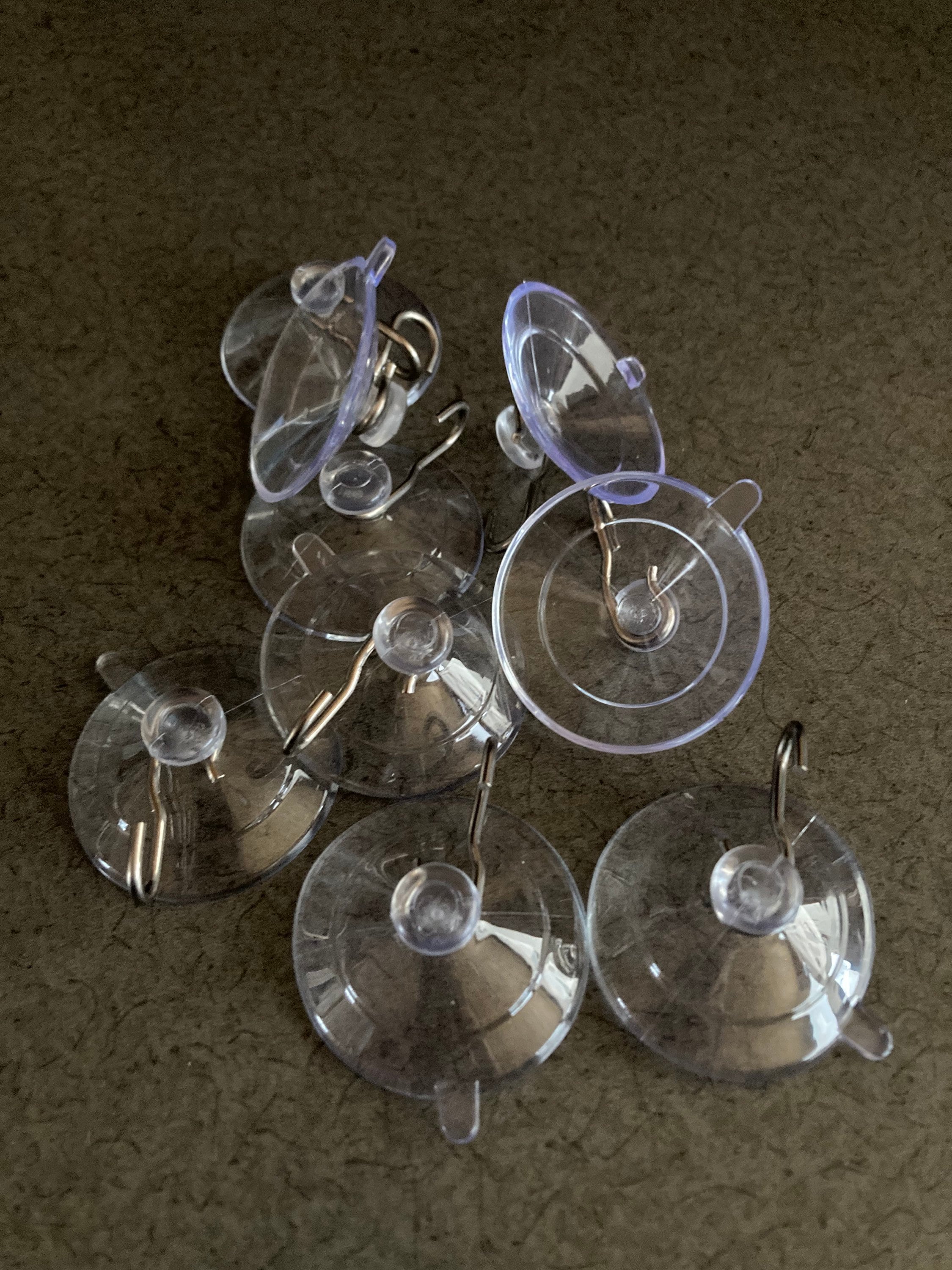 Clear Plastic Suction Cups with Loops, 4.5 cm (1.75 in) Wide, Set of 10,  Christmas