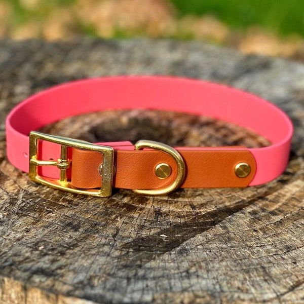 1" Biothane Buckle Collar | Waterproof | Durable | Wipe Clean | Easy to Clean | Luxury Dog Collar