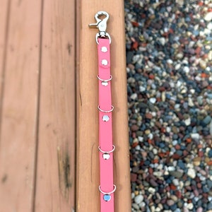 May include: A pink leather leash with silver metal rings and a silver metal clip. The leash is on a wooden surface.