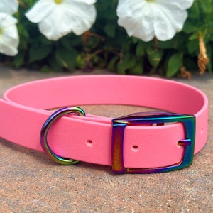 1" Inch Biothane Dog Collar | Traditional Buckle | Waterproof | Durable | Strong