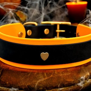 Halloween Biothane Dog Collar | Pumpkin Dog Collar | Spooky | Trick or Treat | Waterproof | Durable
