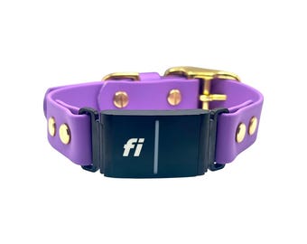 Fi Series 3 Compatible Biothane Dog Collar | 1" Wide Single Layer | Waterproof | Fi Brick Not Included