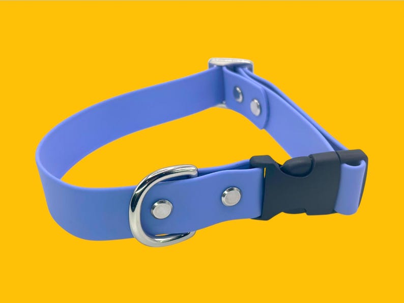 May include: A light blue dog collar with a silver-colored metal D-ring and buckle. The collar has a black plastic clasp and is secured with silver rivets. The background is a solid yellow.