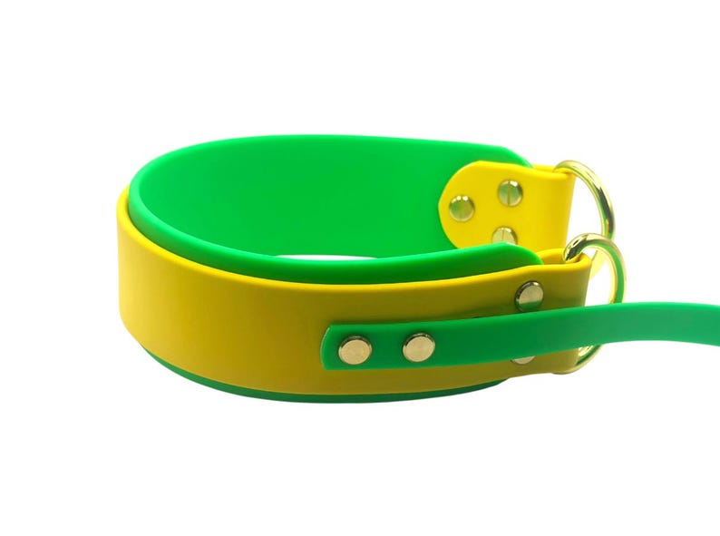Biothane 2 Inch Lure Coursing Collar and Leash Set | FastCAT Leash | Fly Ball Leash | Dock Diving | Barn Hunt | Sport Dog Leash | Waterproof image 7
