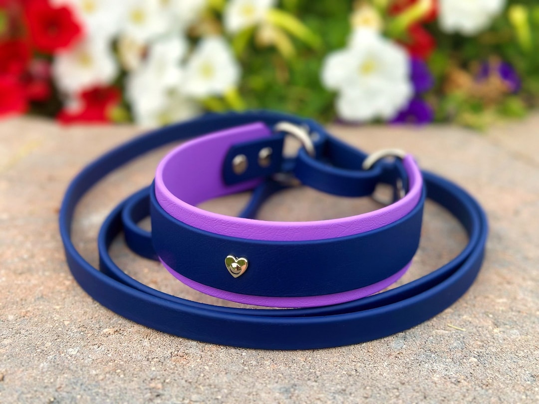 Biothane French Martingale 1.5 Two Toned Kennel Leash Slip Leash Show