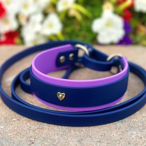 Biothane French Martingale 1.5" | Two Toned | Kennel Leash | Slip Leash | Show Dog Lead | Sporting Dog