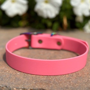May include: A solid bright pink pet collar featuring a smooth, matte finish. The collar includes a metallic buckle with an iridescent, rainbow-colored sheen and two circular metal rivets securing the strap near the adjustable closure mechanism.