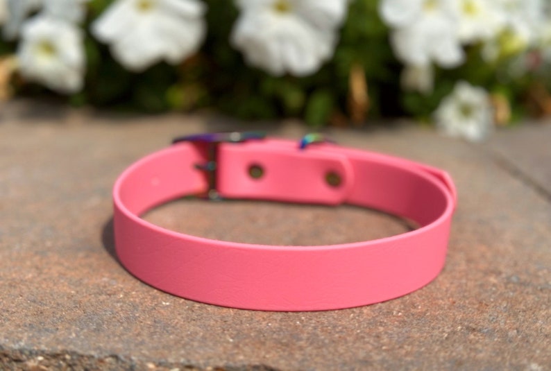 May include: A solid bright pink pet collar featuring a smooth, matte finish. The collar includes a metallic buckle with an iridescent, rainbow-colored sheen and two circular metal rivets securing the strap near the adjustable closure mechanism.