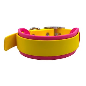 May include: A bright yellow and pink dog collar with a silver metal buckle. The collar has a yellow outer layer, a pink inner layer, and a yellow strap for adjustment. The collar is designed for a pet.