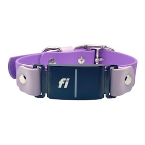 May include: A purple dog collar with a dark blue rectangular tracker in the center. The tracker has the white letters "fi" and a vertical white line. The collar has light purple accents and a silver metal buckle.