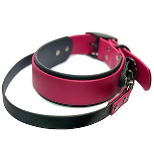 May include: A pink and black leather dog collar with a silver buckle and a matching lead.