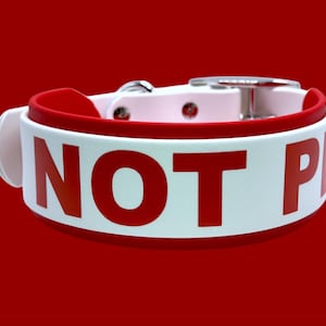 May include: White dog collar with a red border and the text "NOT PET" in red letters.