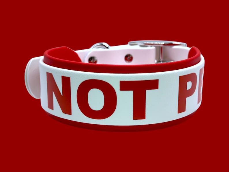 May include: White dog collar with a red border and the text "NOT PET" in red letters.