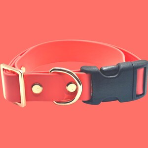 May include: A coral-colored dog collar with a black plastic buckle and gold-colored metal hardware. The collar features a D-ring and a rectangular buckle. The background is a solid coral color.