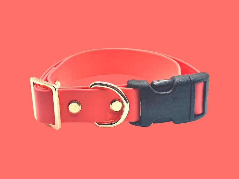 May include: A coral-colored dog collar with a black plastic buckle and gold-colored metal hardware. The collar features a D-ring and a rectangular buckle. The background is a solid coral color.