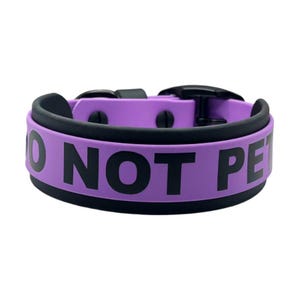 May include: A purple and black dog collar with the words "DO NOT PET" printed in large black letters. The collar has a black buckle and a black inner lining.