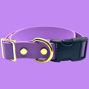 May include: A purple dog collar with gold-colored hardware and a black plastic buckle. The collar is made of a smooth, solid material and is designed to be adjustable. The background is a solid purple color.
