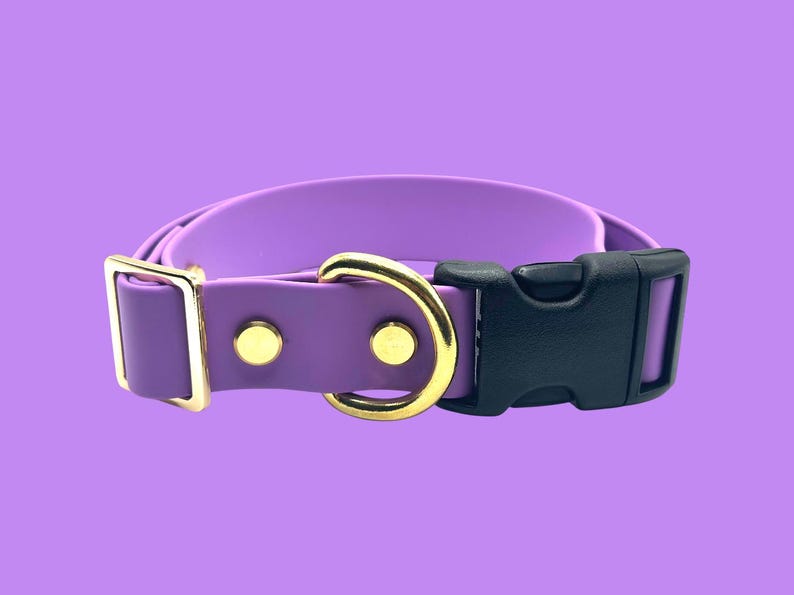 May include: A purple dog collar with gold-colored hardware and a black plastic buckle. The collar is made of a smooth, solid material and is designed to be adjustable. The background is a solid purple color.