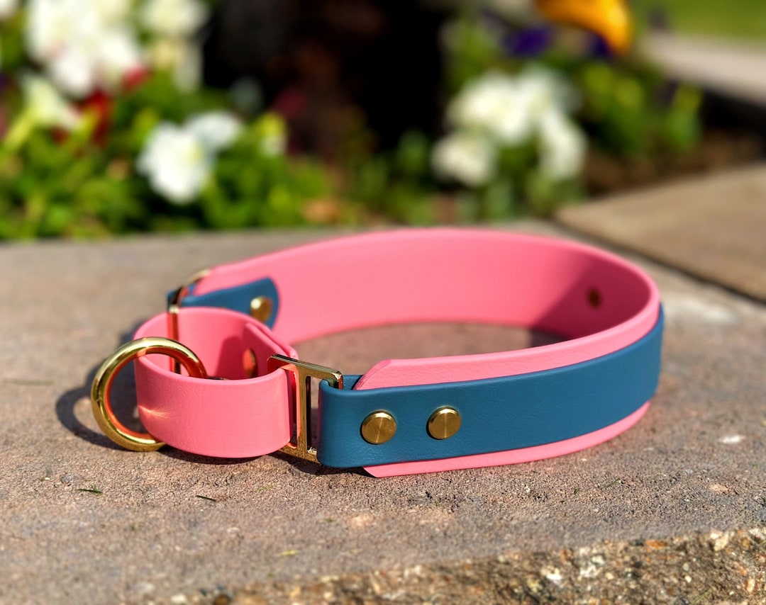 Biothane Martingale 1.5 Inch Double Layered Dog Collar Biothane Loop Floating Oring Waterproof