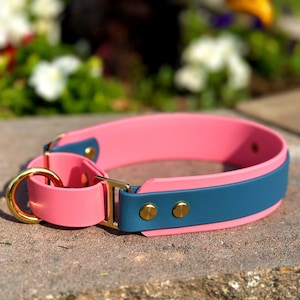 Biothane Martingale 1.5 Inch Double Layered | Dog Collar | Biothane Loop | Floating O-Ring | Waterproof | Durable