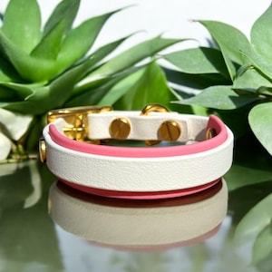 1/2 Inch Biothane Double Layered with 3/4 Inch Dog Collar | Small Dog Collar | Waterproof | Durable