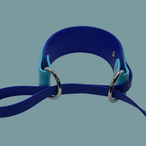 May include: A blue and light blue dog collar with two silver D-rings. The collar is made of a soft, flexible material.