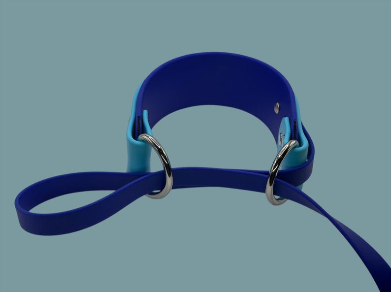 May include: A blue and light blue dog collar with two silver D-rings. The collar is made of a soft, flexible material.