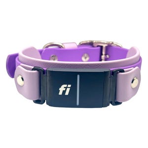 Könnte beinhalten: Ein lila- und lavendelfarbenes Hundehalsband mit einem schwarzen rechteckigen Element. Das Halsband hat eine silberne Schnalle und Nieten. Das schwarze Element trägt den weißen Text "fi" und einen vertikalen weißen Strich.