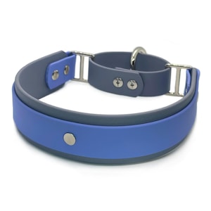 Biothane Martingale 1.5 Inch Double Layered | Dog Collar | Biothane Loop | Floating O-Ring | Waterproof | Durable