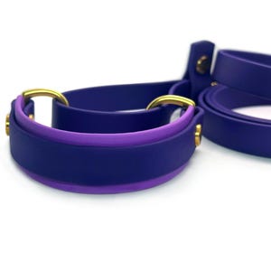 May include: A purple and blue dog collar with a gold metal buckle. The collar is made of a soft, flexible material.