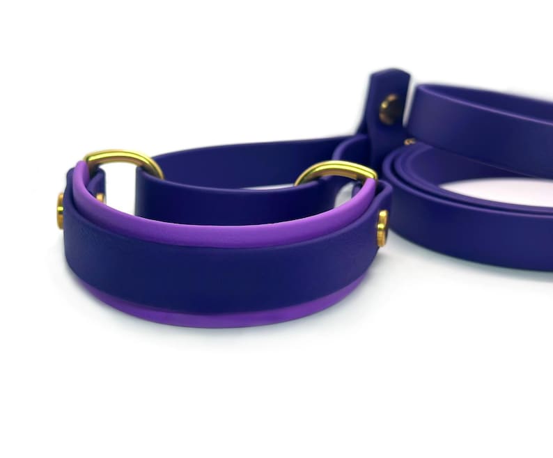May include: A purple and blue dog collar with a gold metal buckle. The collar is made of a soft, flexible material.