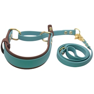 Biothane French Martingale 1.5&quot; | 1&quot; Overlay | 5/8&quot; Removable Leash | Two Toned | Kennel Leash | Slip Leash | Show Dog Lead | Patent Pending