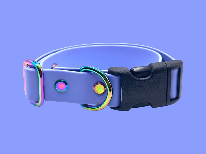 May include: A lavender dog collar with a black plastic buckle and iridescent metal hardware. The collar features a D-ring and rivets with a rainbow sheen. The background is a solid lavender color.