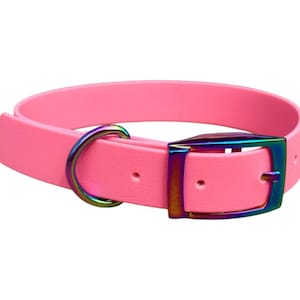 1&quot; Inch Biothane Dog Collar | Standard Traditional Buckle | Waterproof | Durable | Strong