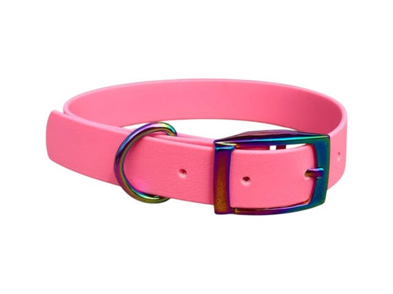 1" Inch Biothane Dog Collar | Standard Traditional Buckle | Waterproof | Durable | Strong