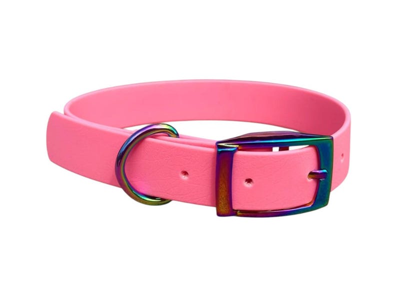 May include: A bright pink pet collar featuring a smooth, solid-colored strap with a metallic, iridescent rainbow-colored buckle and a matching D-ring. The hardware displays a multi-colored, reflective finish that contrasts with the vibrant pink band.