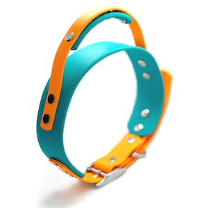 Może przedstawiać: Turkusowy i pomarańczowy obroża dla psa ze srebrną klamrą. Obroża ma unikalny design z podniesioną częścią na górze.