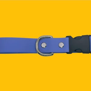 May include: A blue dog collar with a black plastic buckle and a silver metal D-ring. The collar is made of a smooth, solid blue material and has silver rivets. The background is a solid yellow.