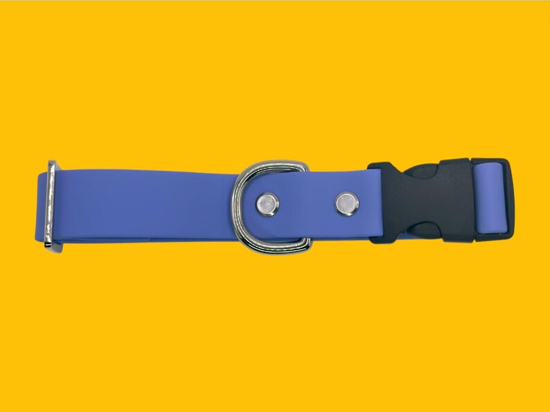 May include: A blue dog collar with a black plastic buckle and a silver metal D-ring. The collar is made of a smooth, solid blue material and has silver rivets. The background is a solid yellow.