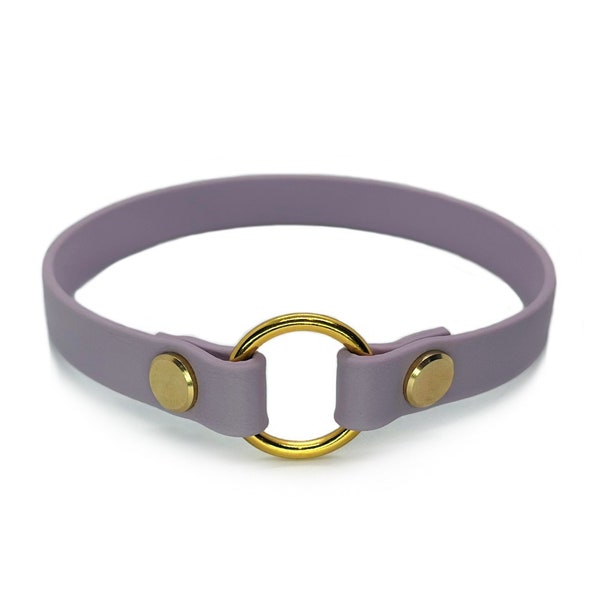 Biothane Dog House Collar | Slip On with O-Ring | 5/8 Inch | ID Tag Collar | Lightweight | Indoor | Customizable