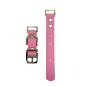 May include: Two pink dog collars with gold-colored hardware. One collar is fully assembled with a buckle and D-ring, while the other is a strap with pre-drilled holes. The collars are made of a smooth, solid material.