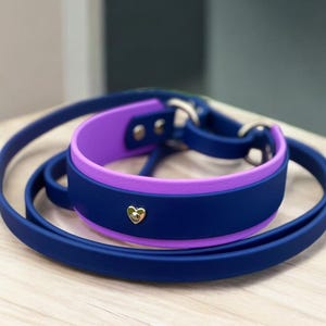 Biothane French Martingale 1.5&quot; | 1&quot; Overlay | 5/8&quot; Leash | Two Toned | Kennel Leash | Slip Leash | Show Dog Lead | Sporting Dog