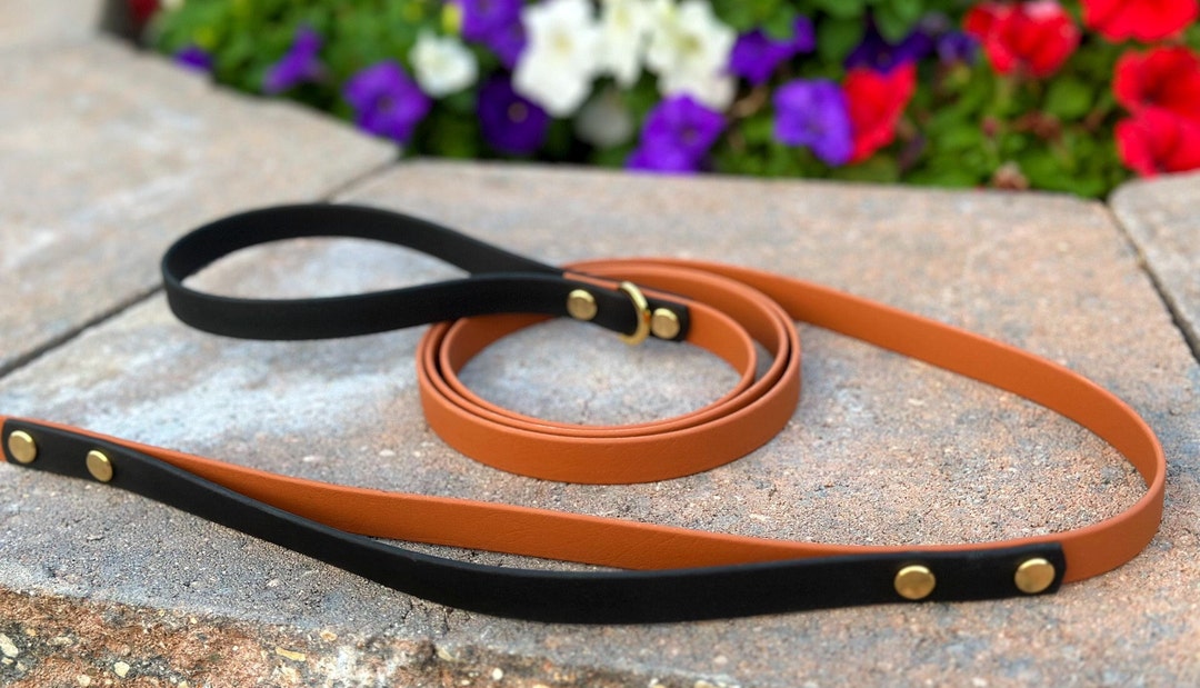 Biothane Dog Leash With Built in Traffic Handle 5/8 Outdoor Waterproof