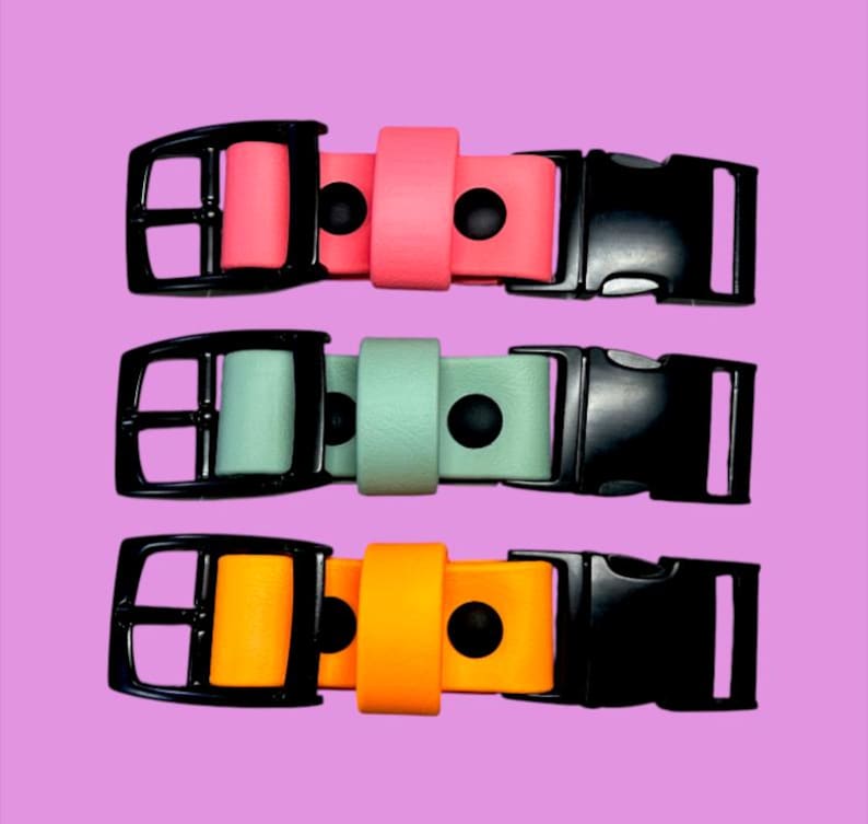 Puede incluir: Tres collares ajustables con correas lisas de colores s&oacute;lidos en rosa ne&oacute;n, verde menta y naranja brillante. Cada collar incluye una hebilla de pl&aacute;stico negra de liberaci&oacute;n lateral, una hebilla de metal negra, una trabilla a juego y dos remaches negros.