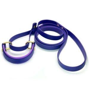 Biothane French Martingale 1&quot; with 5/8&quot; Overlay | Two Toned | Small Dog Martingale | Kennel Leash | Slip Leash | Show Dog Lead | Dog Sports