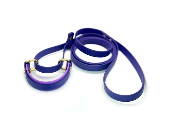 Biothane French Martingale 1" with 5/8" Overlay | Two Toned | Small Dog Martingale | Kennel Leash | Slip Leash | Show Dog Lead | Dog Sports